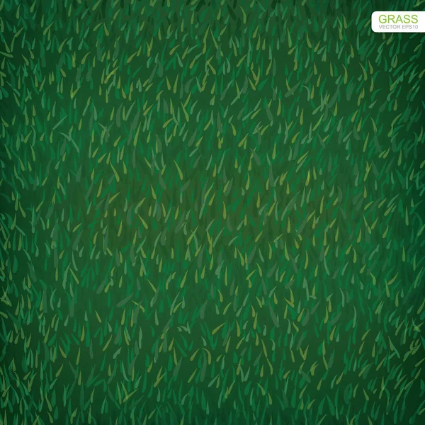 Textura Césped Verde Para Fondo Ilustración Vectorial — Vector de stock