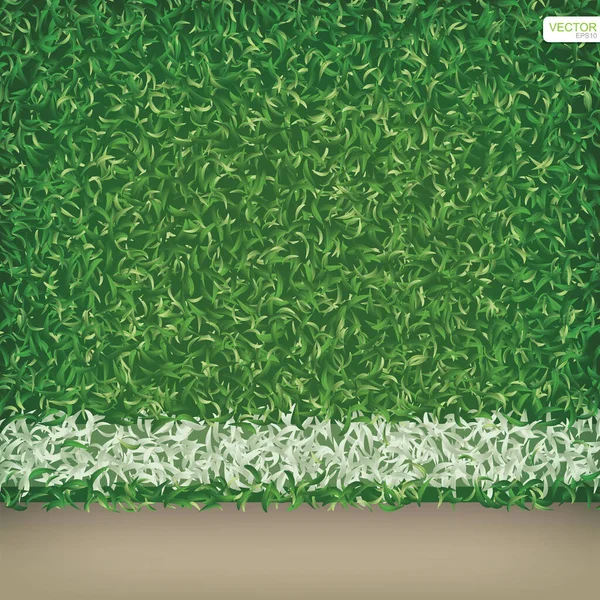 Hierba Verde Fútbol Fondo Campo Fútbol Con Línea Blanca Ilustración — Vector de stock