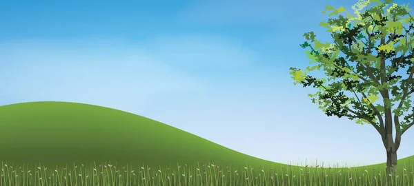 Tree Green Grass Hill Area Blue Sky Vector Illustration — Stock Vector