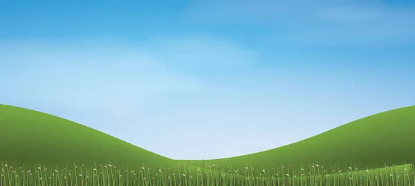 Green Grass Hill Blue Sky Vector Illustration — Stock Vector