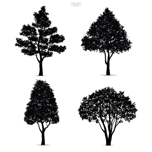 Sylwetki Drzew Odizolowane Białym Tle Projektowania Krajobrazu Ilustracja Wektora — Wektor stockowy