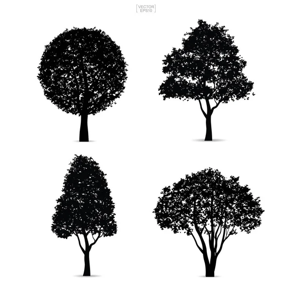 Силуэты Дерева Изолированы Белом Фоне Ландшафтного Дизайна Векторная Иллюстрация — стоковый вектор
