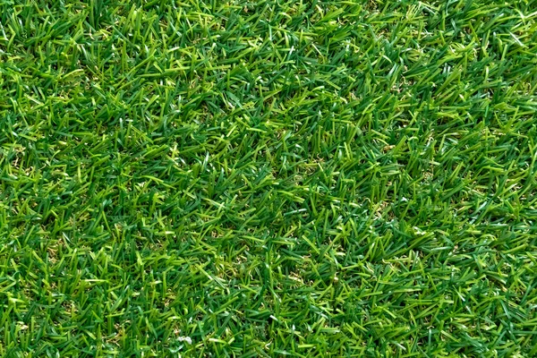 Texture Herbe Verte Pour Le Fond Modele De Pelouse Verte Et Fond De Texture Vue De Dessus Vue Du Dessus Gazon Stock Photo