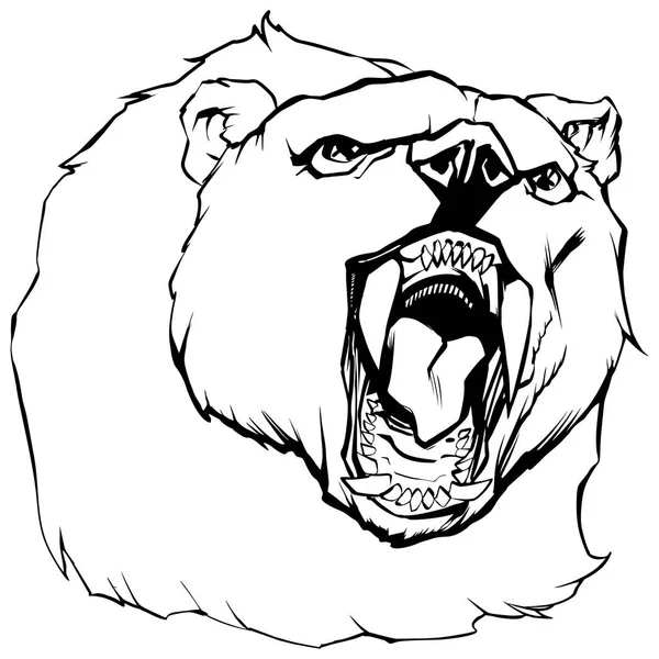 Illustrazione della testa dell'orso — Vettoriale Stock