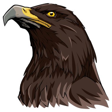 Beyaz Altın Kartal