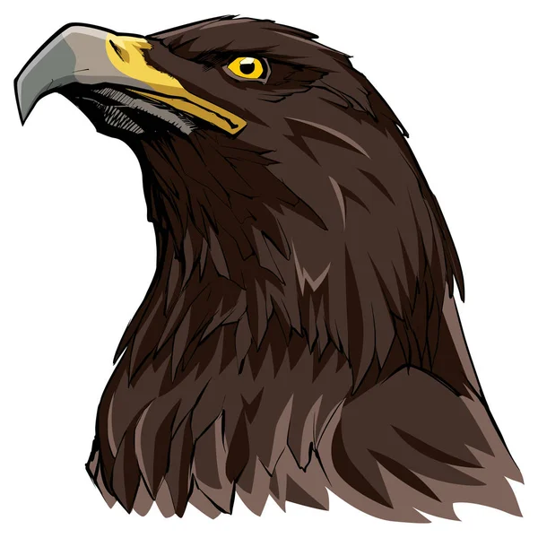 Águila dorada sobre blanco — Vector de stock