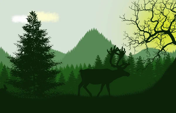 deer in the green forest