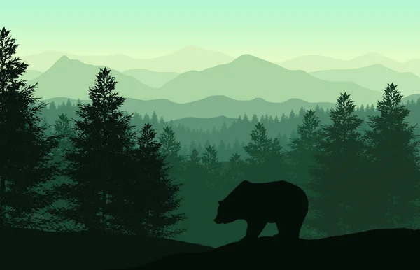 Bear Silhouette Green Forest Royalty Free Stock Images