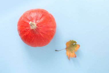 Yuvarlak Turuncu kabak sonbahar yaprak, düz ile mavi arka plan üzerinde yatıyordu.