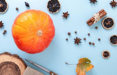 Yuvarlak turuncu sonbahar yaprak ve kurutulmuş baharatlar ile kabak, düz mavi arka plan üzerinde yatıyordu..