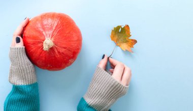 Elinde uzun kollu örgü kazak, yuvarlak bir Turuncu kabak sonbahar yaprak ve baharat ile tutarak, düz mavi arka plan üzerinde yatıyordu.