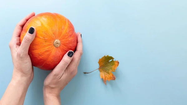 Mains Tenant Une Citrouille Orange Ronde Avec Feuille Automne Plat — Photo