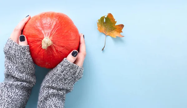 Mains Dans Pull Tricoté Manches Longues Tenant Une Citrouille Orange — Photo