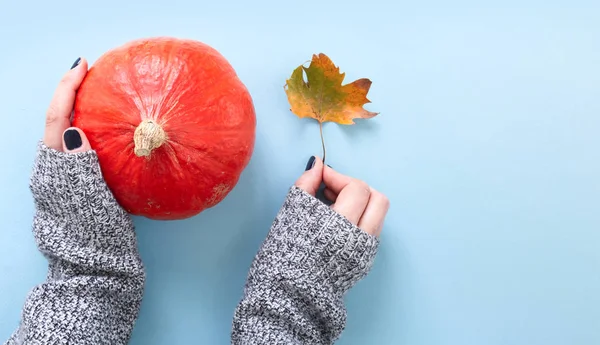 Mains Dans Pull Tricoté Manches Longues Tenant Une Citrouille Orange — Photo