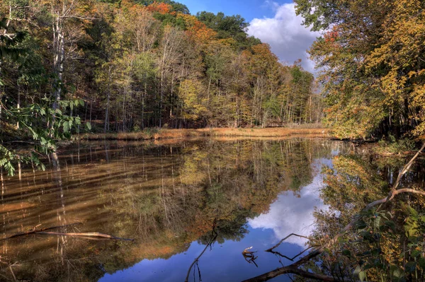 Krásná Podzimní Scéna Rezervaci Rocky River Která Zobrazuje Syté Barvy — Stock fotografie