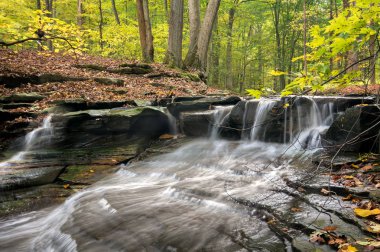 Sulpher Springs Creek Bentleyville Ohio zirve sırasında boyunca pek çok doğal şelaleler birini sonbahar renkleri. Bu küçük şelale en iyisi en yüksek ağaçlarda sonbahar renkleri ile görünüyor. Güney Chagrin rezervasyon Cleveland Metroparks içinde yer alan.