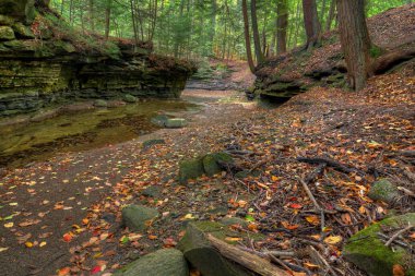Sulpher Springs Creek Bentleyville Ohio zirve sırasında boyunca güzel bir sahne sonbahar renkleri. Güney Chagrin rezervasyon Cleveland Metroparks içinde yer alan.