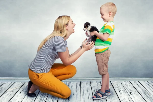 Criança Apresenta Sua Mãe Pequeno Cachorro — Fotografia de Stock
