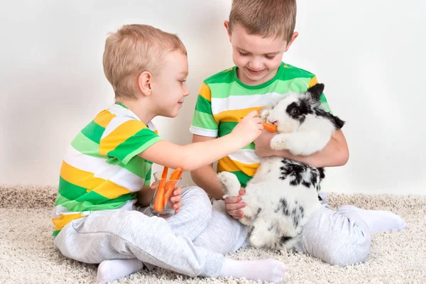 Dos Hermanos Alimentan Amado Conejo Con Una Zanahoria — Foto de Stock