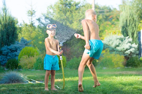 Two brothers play on a summer hot day in the garden. Children are splashing with a garden hose.