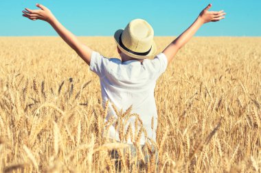 Çocuk buğday sahada yürüyor.