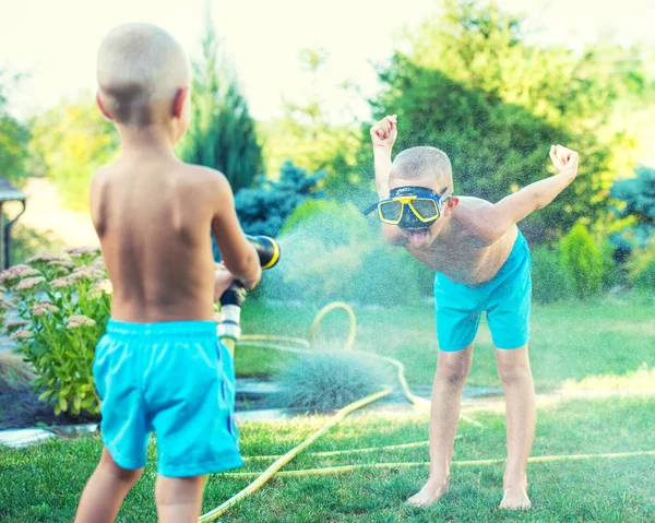 Two brothers play on a summer hot day in the garden. Children are splashing with a garden hose.