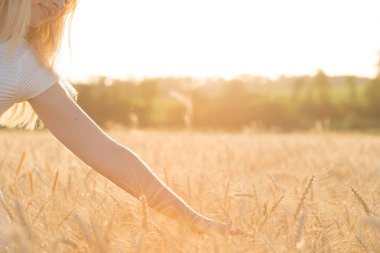 Bir kadın bir alanda buğday, dokunur altın spikelet.