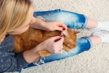 Bir kadın evde kırmızı kedi kulak temizleme.