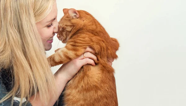 Una Joven Gato Rojo Juegan Juntos — Foto de Stock