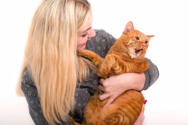 Una Mujer Joven Sostiene Gato Pelirrojo Sus Manos Mientras Bebía — Foto de Stock