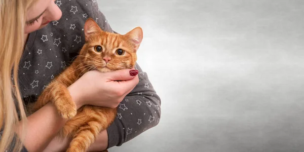 Mujer Joven Abrazando Hermosa Pelirroja Cat Love Animal — Foto de Stock