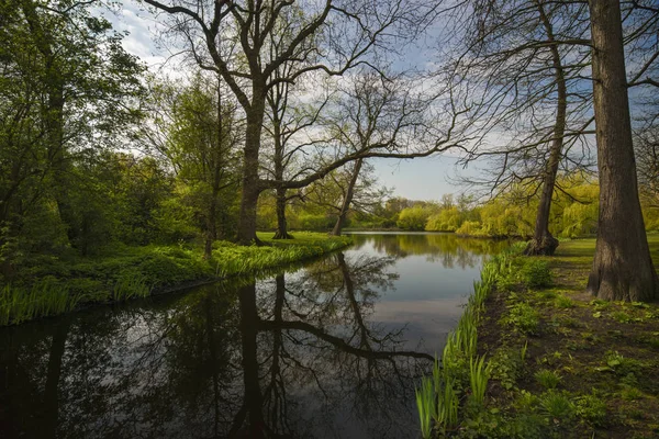 Floresta Com Lago Primavera — Fotografia de Stock