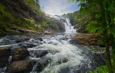 Asya'da tropikal yağmur ormanları