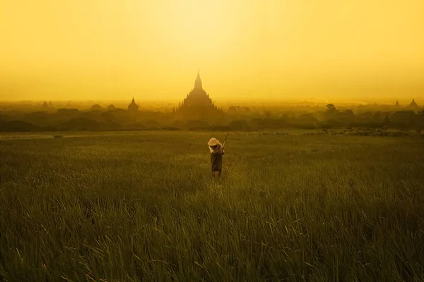 ミャンマーの田んぼの農民 — ストック写真