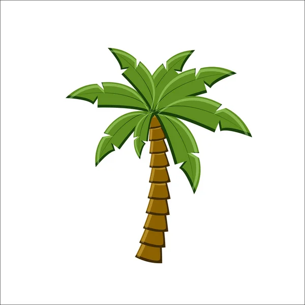 Ícone de palmeira isolado no fundo branco . —  Vetores de Stock