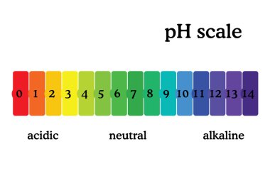 pH scale diagram with corresponding acidic or alcaline values. Universal pH indicator paper color chart. Colorful flat style vector illustration isolated on white background. clipart