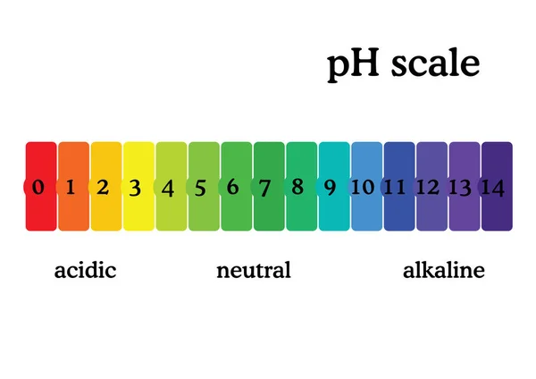 Diagrama Escala Con Los Valores Ácidos Alcalinos Correspondientes Gráfico Colores — Vector de stock