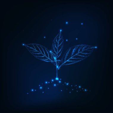 Yeni filiz bir yerdeki yaprakları ile yapılan çizgiler, noktalar, üçgenler. Büyüme, gelişme kavramı.