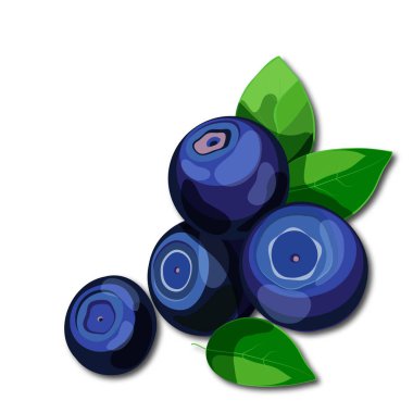 Beyaz arka plan üzerinde izole yeşil yaprakları ile taze sulu yaban mersini.