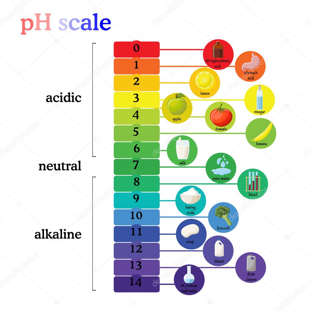 Carta De Colores Del Ph La Escala De Ph Diagrama De Carta De Color De ...