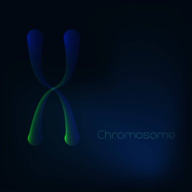 Koyu mavi zemin üzerine parlak X kromozomu. Genetik Mühendisliği kavramı.