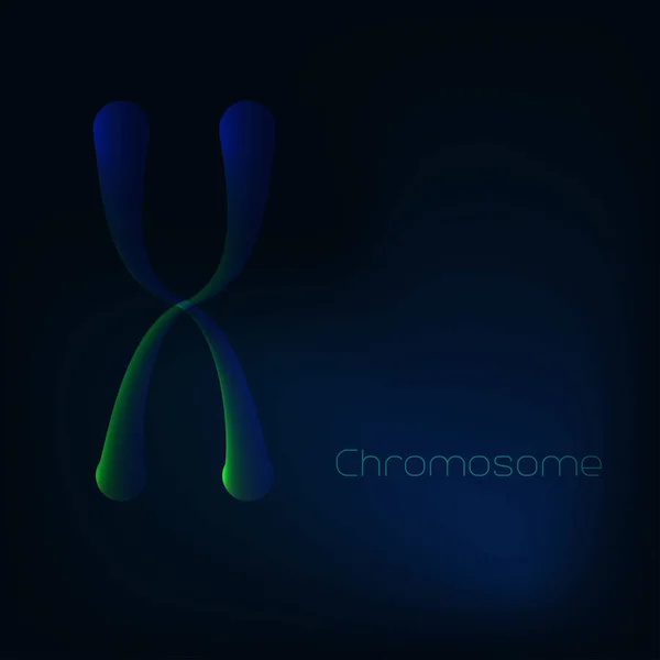 Cromosoma X luminoso su sfondo blu scuro. Concetto di ingegneria genetica . — Vettoriale Stock