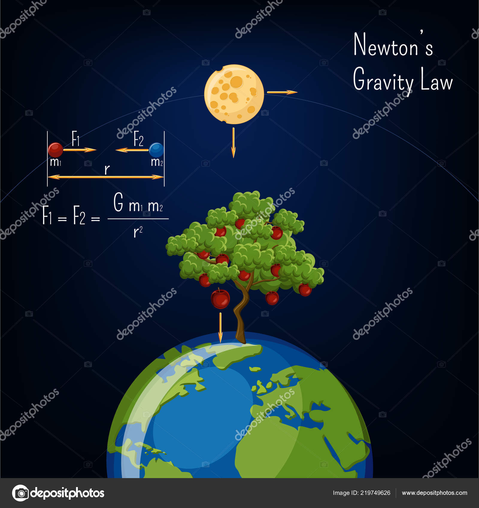 Newton's Gravity Law Infographic Earth Globe Moon Apple Tree Basic Stock  Vector Image by ©inkoly #219749626