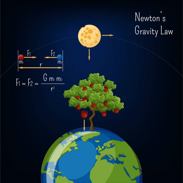 Newton's Gravity law infographic with Earth globe, moon, apple tree and basic diagram. Physics, science for kids. Cartoon style vector illustration.