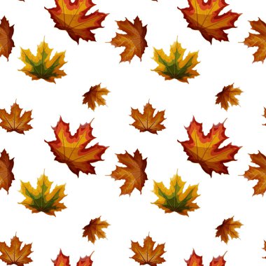 İzole sonbahar akçaağaç yaprakları yeşil, sarı, turuncu, kırmızı, kahverengi renkler Dikişsiz desen beyaz arka plan üzerinde.