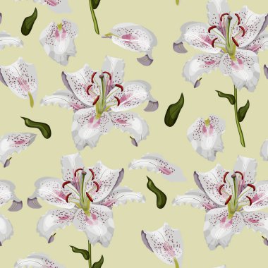 Güzel oryantal lily çiçekler, yapraklar ve yaprakları üzerinde pastel yeşil arka plan sramless deseni.