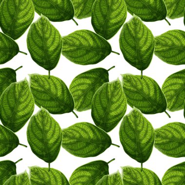 Parlak ve renkli desenli yeşil yapraklarda beyaz arka plan seamless modeli. Karikatür tarzı vektör çizim.