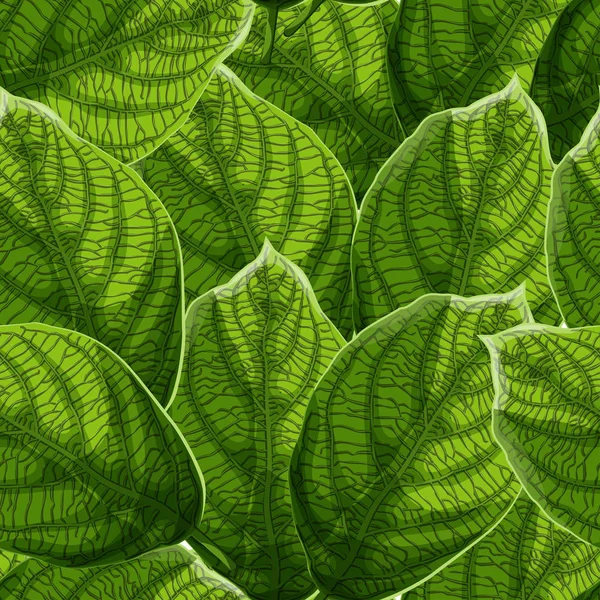 充满活力的纹理绿色叶子与静脉无缝图案 环境理念 动画片样式向量例证 — 图库矢量图片