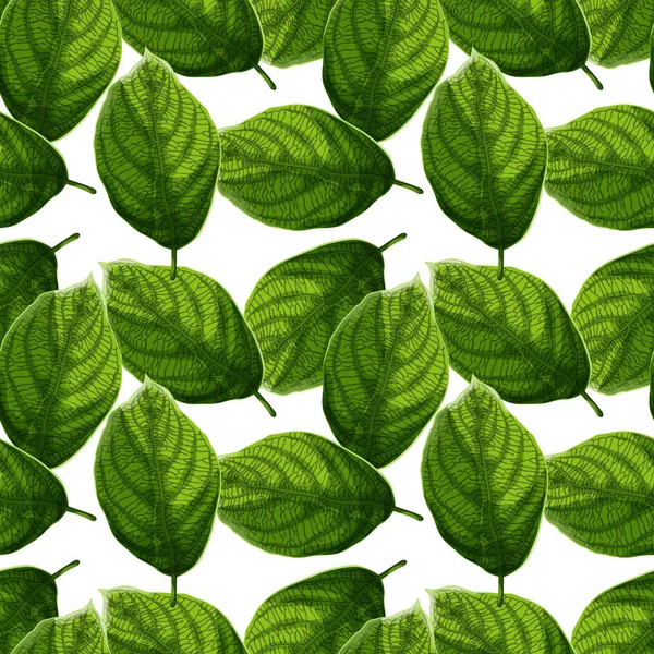 Folhas Verdes Texturizadas Brilhantes Coloridas Fundo Branco Padrão Sem Costura —  Vetores de Stock