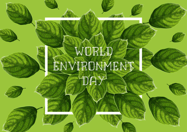 World Environment Day banner with green textured leaves, white frame and text on green background.